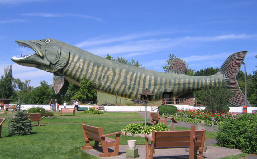 Big Fish in Hayward Wisconsin